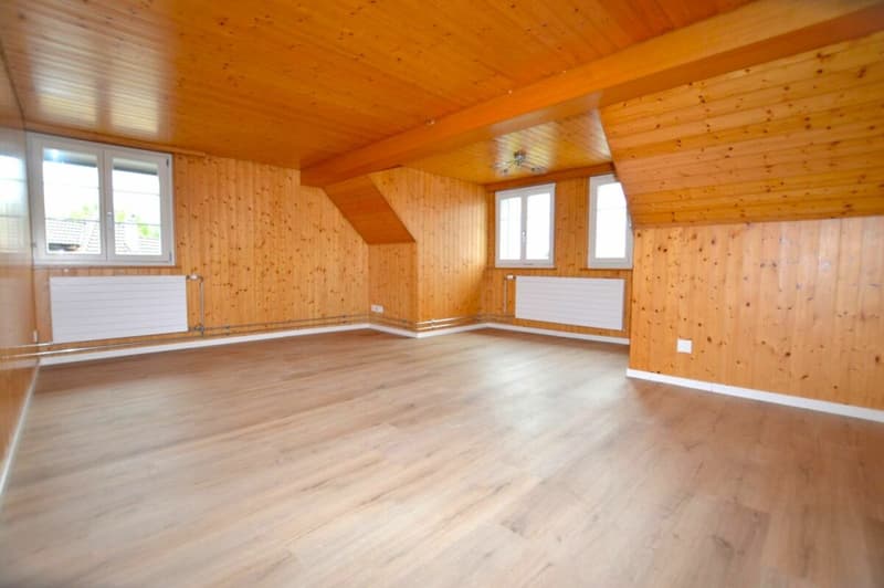 Frisch renovierte 2 Zimmer Wohnung (4)