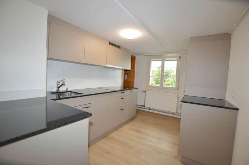 Frisch renovierte 2 Zimmer Wohnung (3)