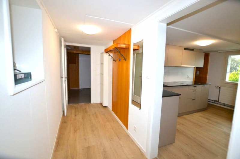 Frisch renovierte 2 Zimmer Wohnung (2)