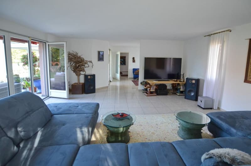 Maison individuelle 7 1/2 pièces avec appartement séparé 5 ½ pièces - Vivre avec une vue dégagée - maison individuelle avec appartement séparé près du lac de Hallwil (3)