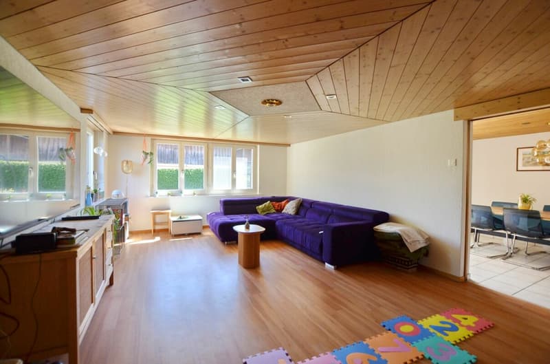 7.5 room single-family house with swimming pool (3)