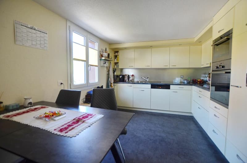 7.5 room single-family house with swimming pool (5)