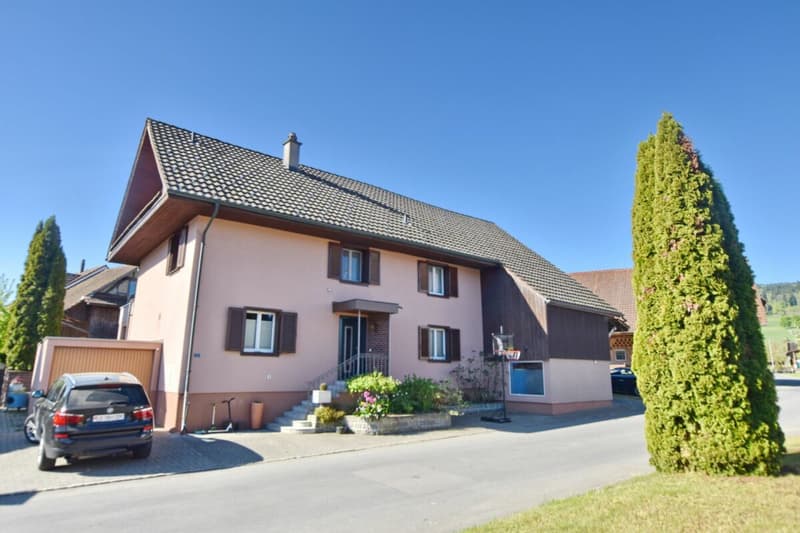 7.5 room single-family house with swimming pool (2)