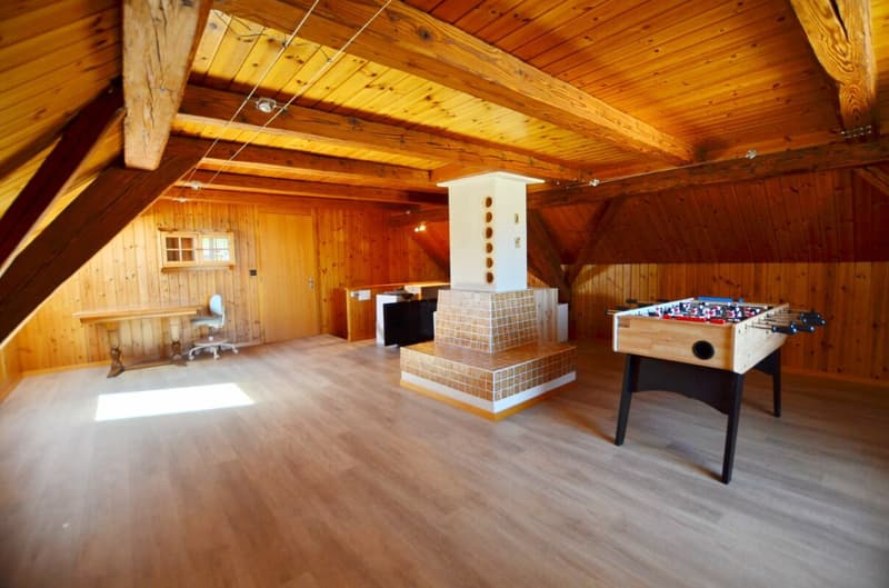 7.5 room single-family house with swimming pool (6)