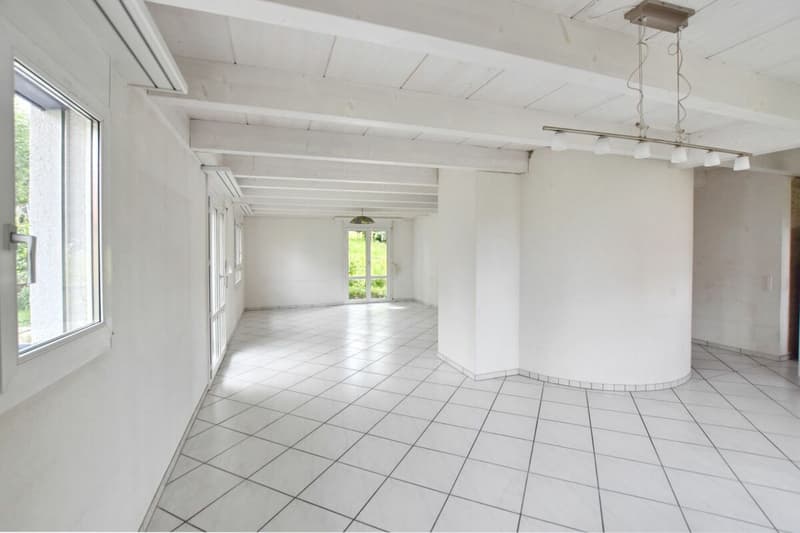 Maison unifamiliale de 6,5 pièces avec appartement indépendant (2)