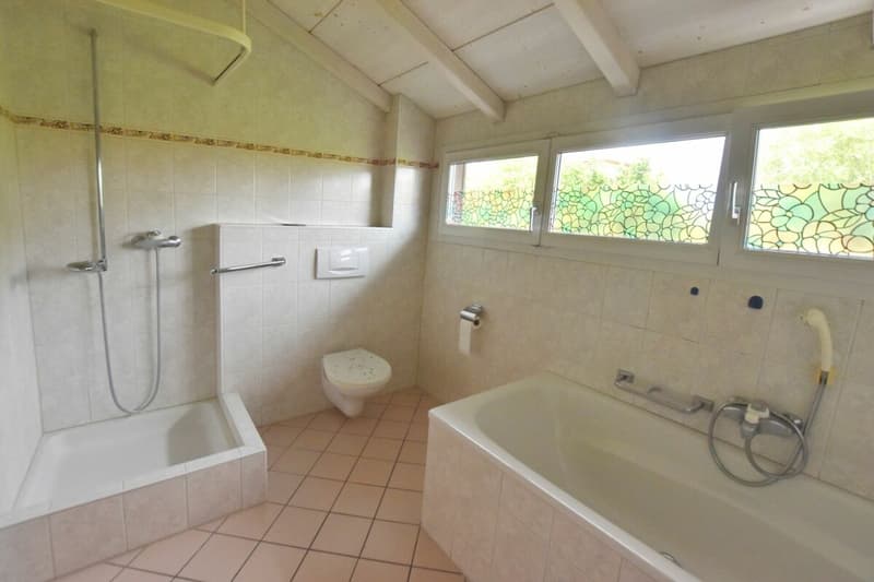 Maison unifamiliale de 6,5 pièces avec appartement indépendant (7)