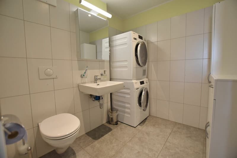 4.5 Zimmer Dachwohnung mit ausgebautem Estrich (11)
