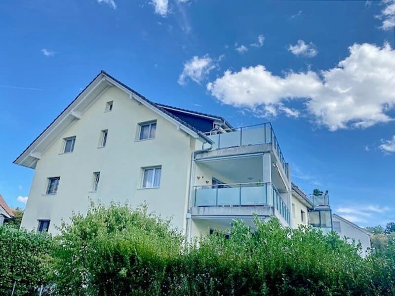4.5 Zimmer Dachwohnung mit ausgebautem Estrich (1)