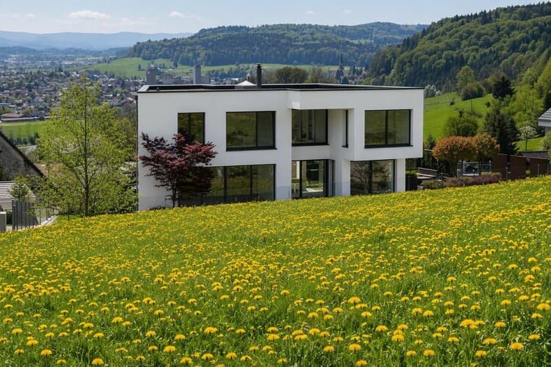 Villa - grosszügiges Wohnen auf hohem Niveau (13)