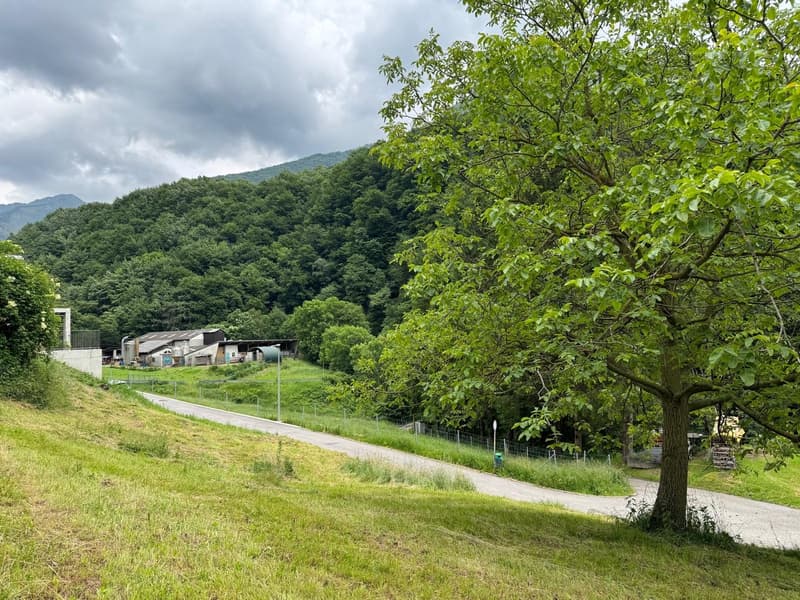 Terrain constructible avec projet approuvé pour maison unifamiliale (3)