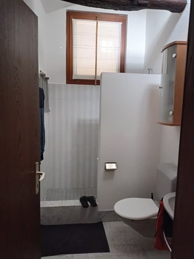 Income property with possibility of conversion into a single-family home (15)