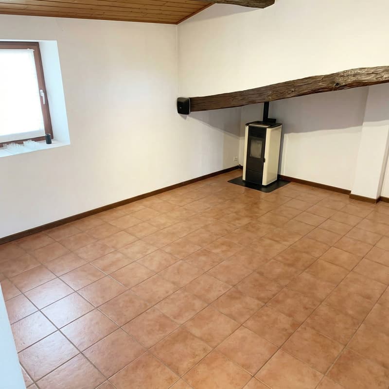 Income property with possibility of conversion into a single-family home (13)