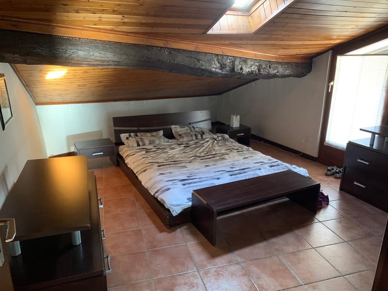 Income property with possibility of conversion into a single-family home (11)