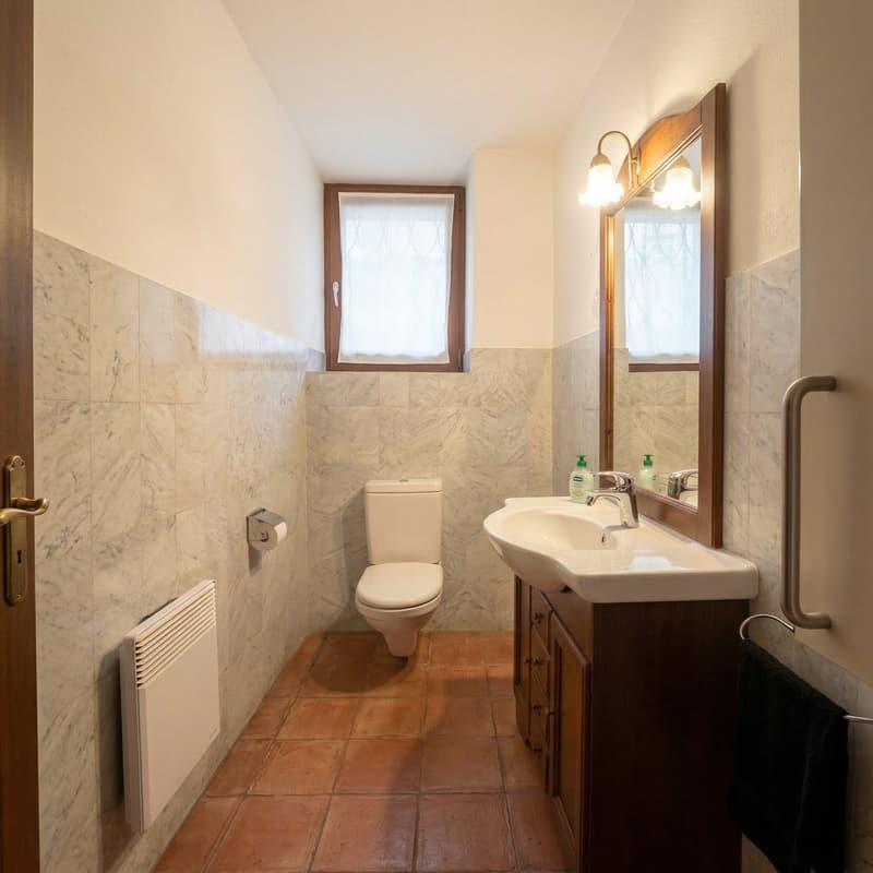 Income property with possibility of conversion into a single-family home (9)
