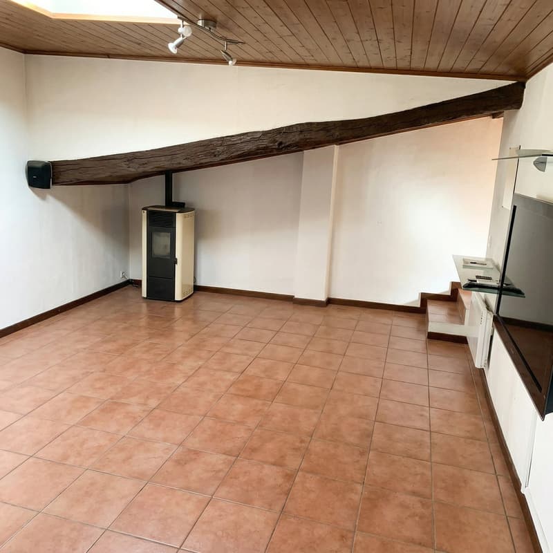 Income property with possibility of conversion into a single-family home (14)