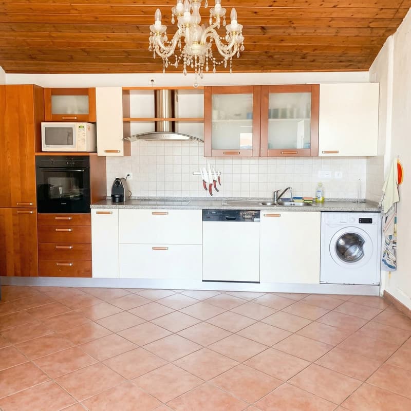 Income property with possibility of conversion into a single-family home (12)