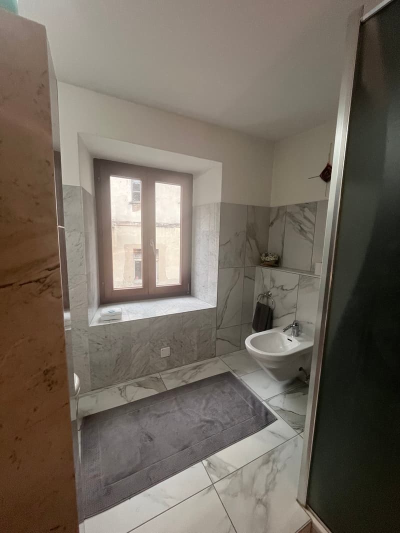 Income property with possibility of conversion into a single-family home (7)