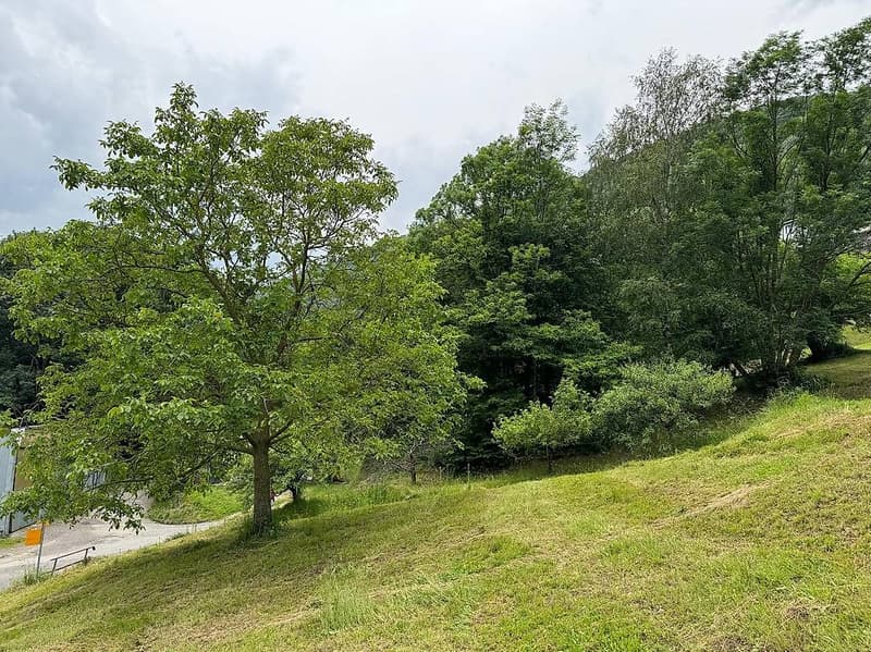 Terreno edificabile con progetto approvato (1)
