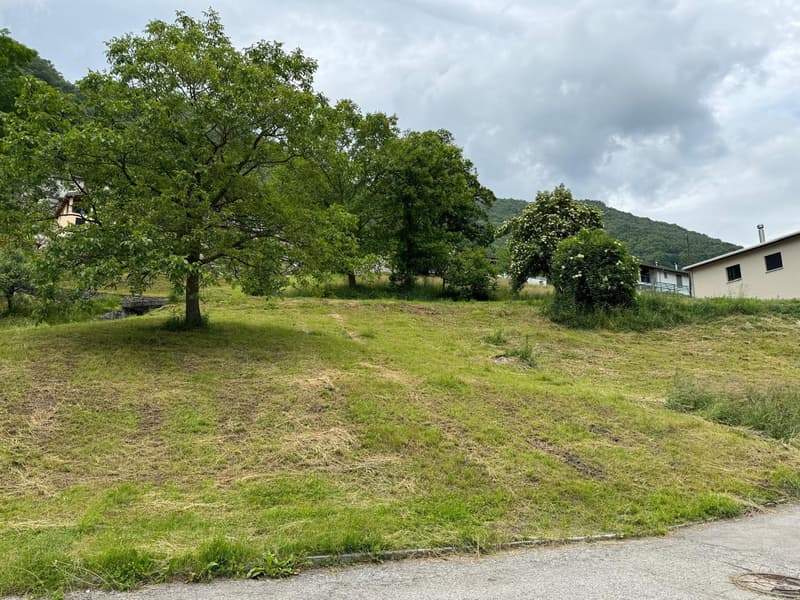 Building plot with approved project for single-family house (1)