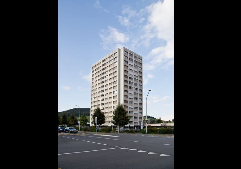 5.5-room apartment above the roofs of Reinach AG (9)