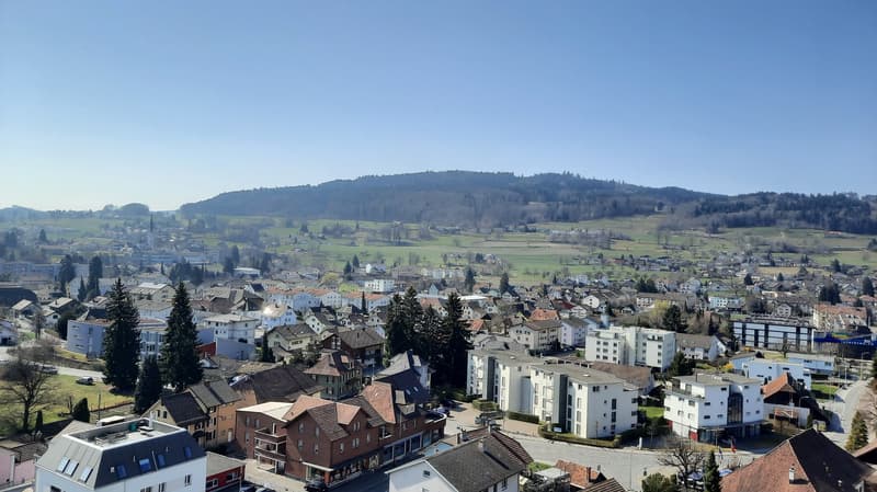 5.5-room apartment above the roofs of Reinach AG (13)