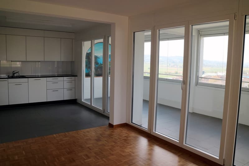 5.5-room apartment above the roofs of Reinach AG (2)