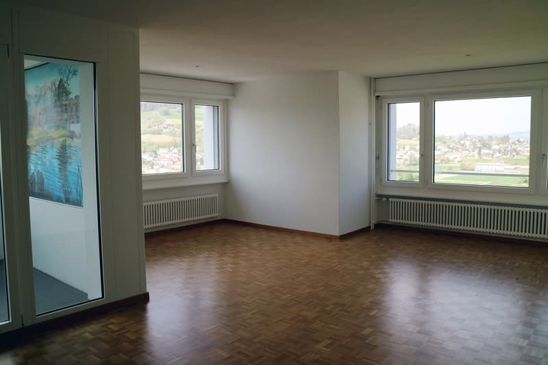 5.5-room apartment above the roofs of Reinach AG (3)