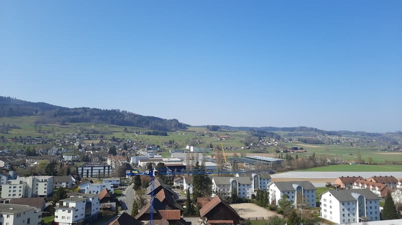 5.5-room apartment above the roofs of Reinach AG (12)