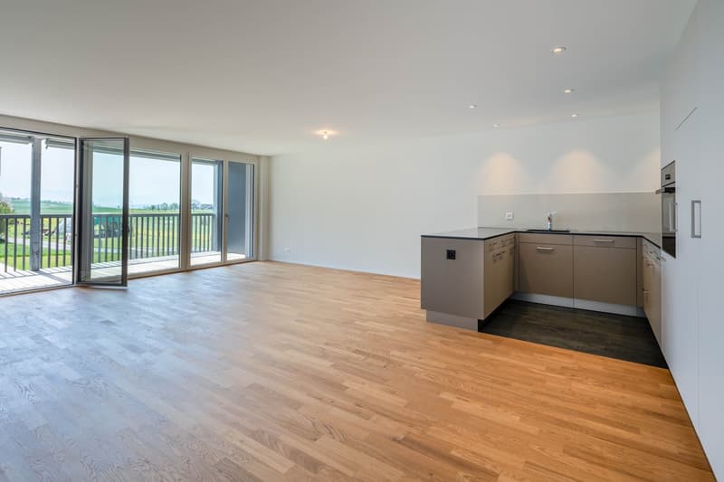 Beautiful 5.5 room apartment 1st floor in Bettwil (4)