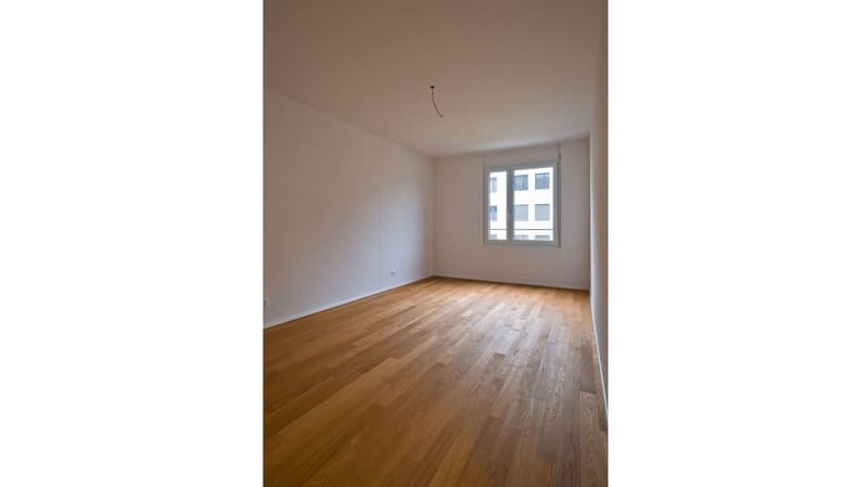 Zimmer 2