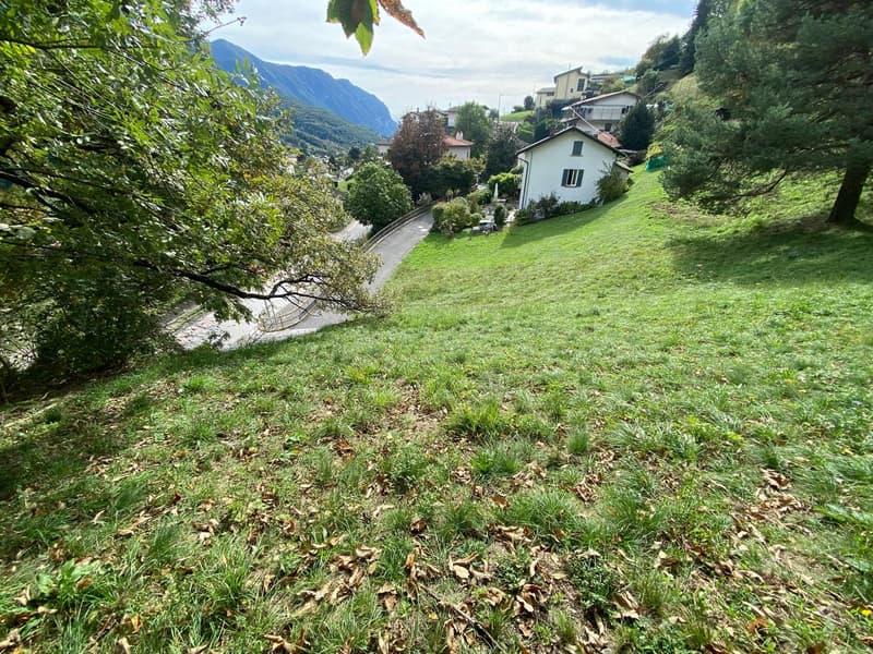 The image shows a picturesque hillside village nestled among lush greenery. The scene features a winding path leading through a grassy area with scattered trees and shrubs. Several residential buildings with balconies can be seen on the slopes, blending h