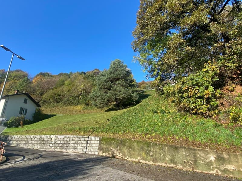 The image shows a scenic outdoor landscape with a grassy hill, trees in autumn foliage, and a clear blue sky. There is a stone wall and a paved path or road in the foreground, suggesting this is a residential or public area. The overall scene appears peac