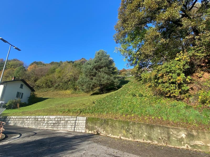 The image shows a scenic outdoor landscape with a grassy hill, trees in full autumn foliage, and a stone wall along the road. The sky is a clear blue, creating a picturesque natural setting.