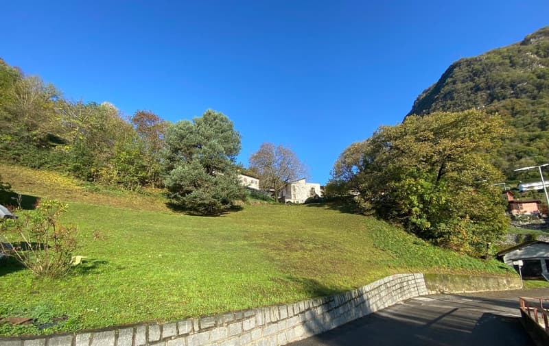 The image shows a scenic outdoor landscape with a large grassy field surrounded by lush green trees and mountains in the background. The sky is a bright, clear blue. There appears to be a stone wall or retaining wall running along the edge of the field. T