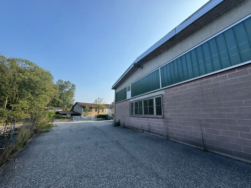 Commercial building with brick wall, green shutters, asphalt parking lot
