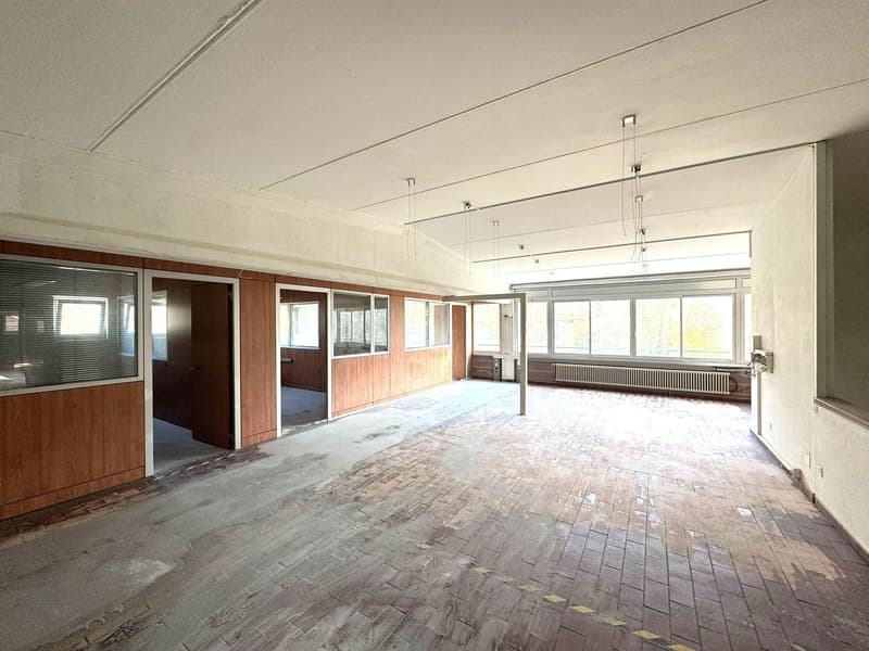 Industrielle Fläche von 1000 m² in Ligornetto - Perfekt für Produktionsaktivitäten (14)