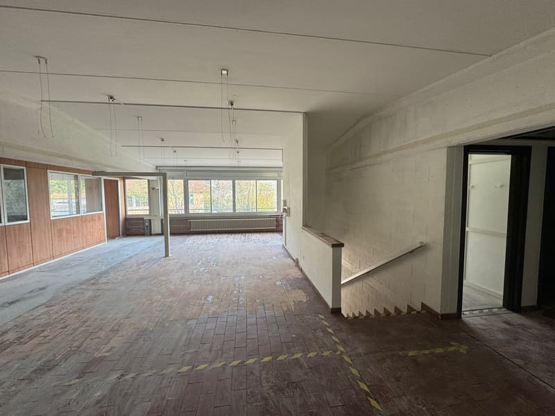 Industrielle Fläche von 1000 m² in Ligornetto - Perfekt für Produktionsaktivitäten (3)