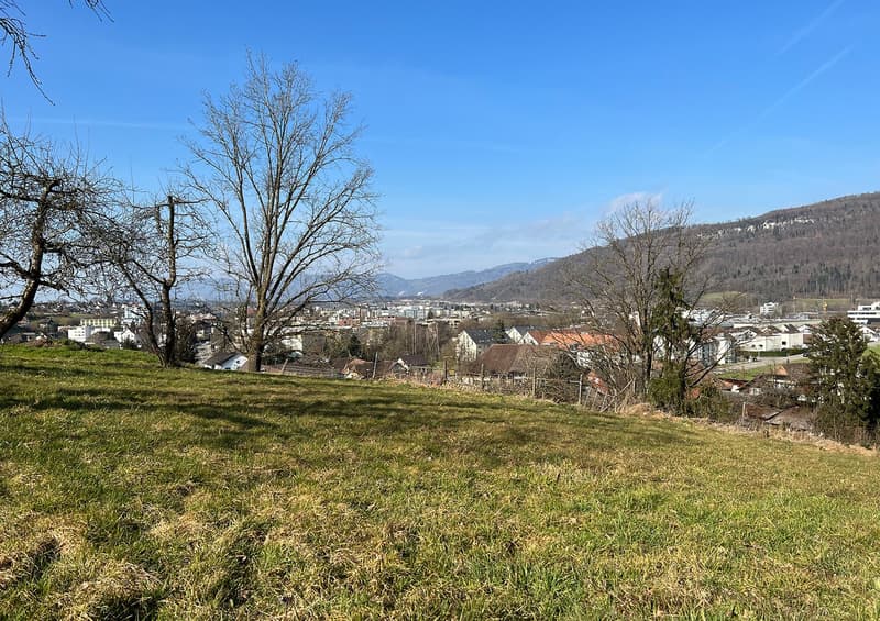 Single-family house with project in Rothrist (2)