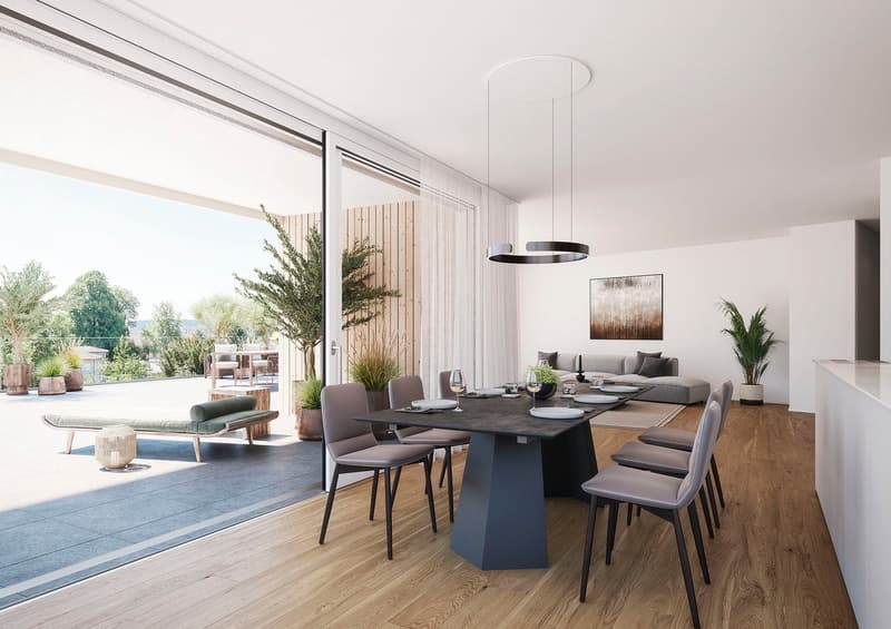 Dining table, chairs, hanging lamp, sliding glass doors, balcony, plants, couch, rug, artwork