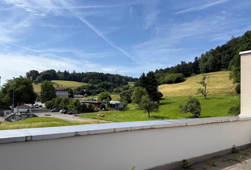 Exclusive attic living with panoramic views of the green surroundings (7)