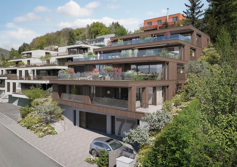 Terrace House Brühl Erlinsbach (2)