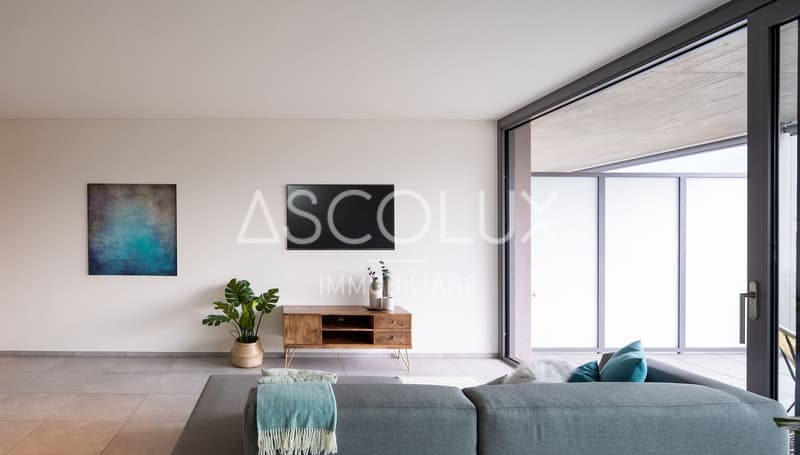 Appartamento 4.5 locali al primo piano con grande terrazza (5)