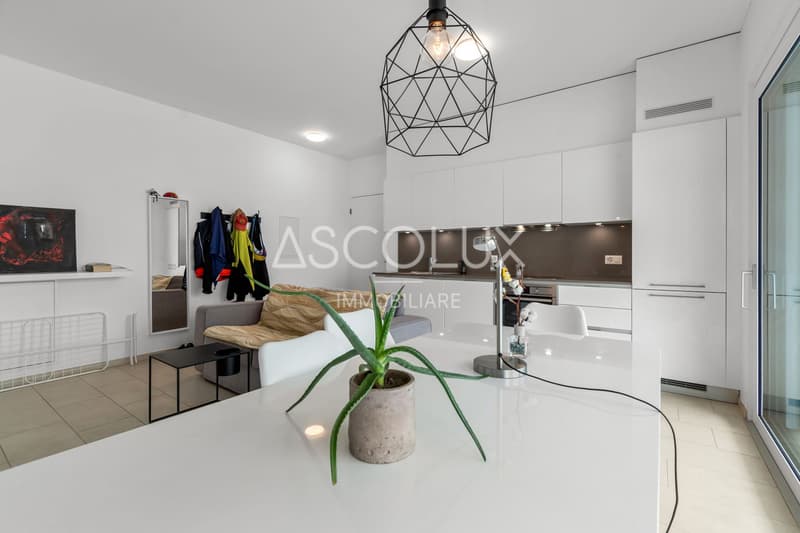 2.5 room apartment with spacious terrace (3)