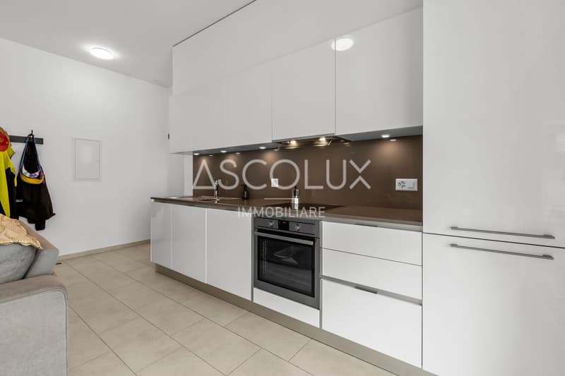 2.5 room apartment with spacious terrace (4)
