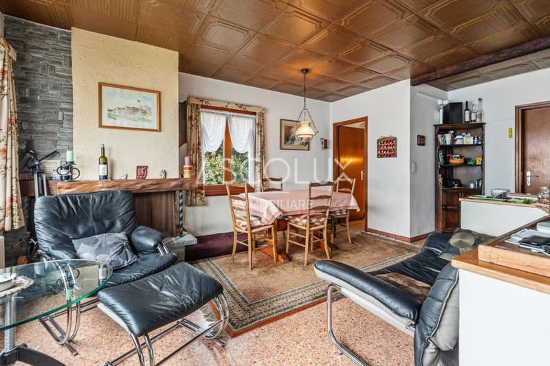 Small single-family holiday home with garden (10)