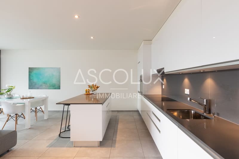 Appartement 4,5 pièces au 1er étage avec grande terrasse (1)