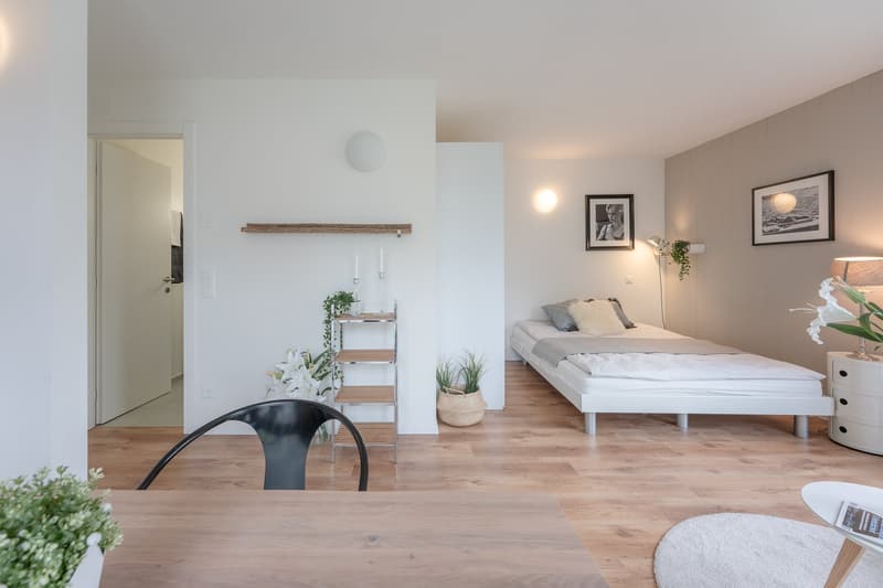 My Stay Comfort Mendrisio (5)