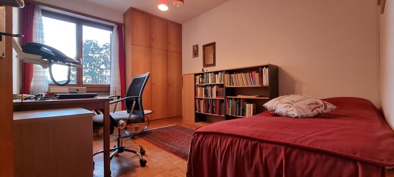 Bedroom with a desk and chair, bed, bookcase, and rug
