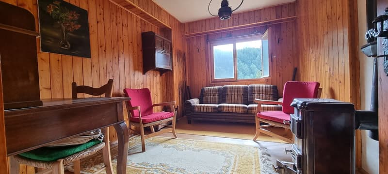 Incantevole chalet in legno, ai piedi del passo del Lucomagno (7)