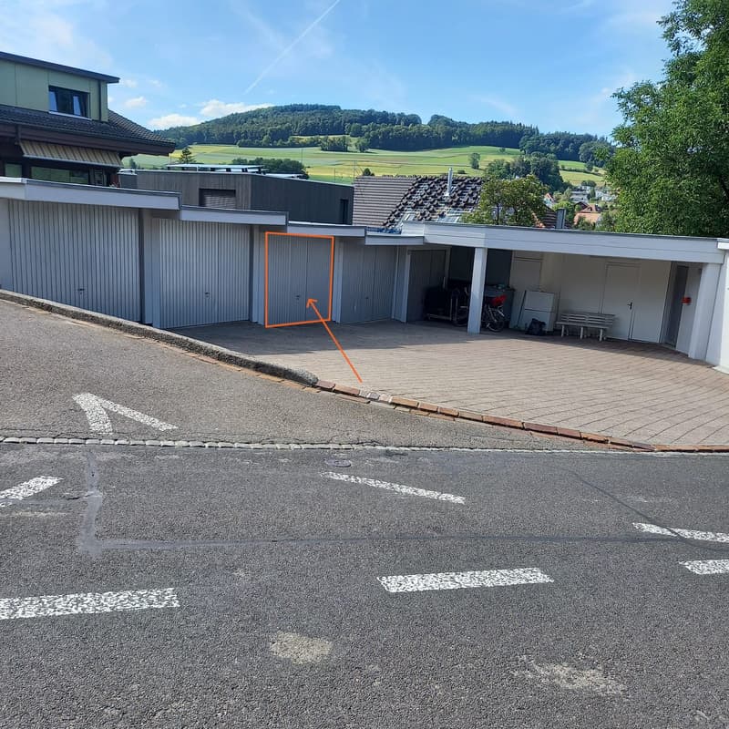 Freshly renovated single garage box in Beinwil am See (2)